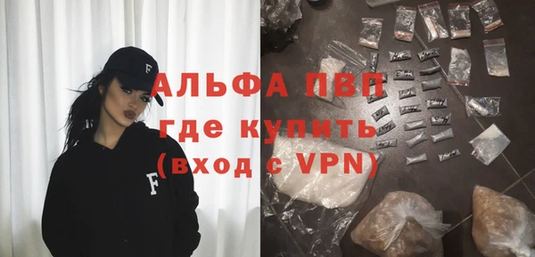 мдпв Богданович