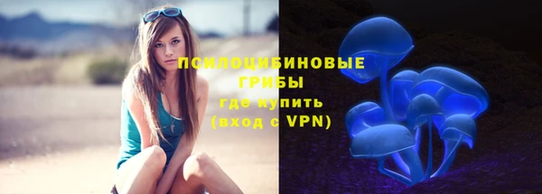 гашик Богородск