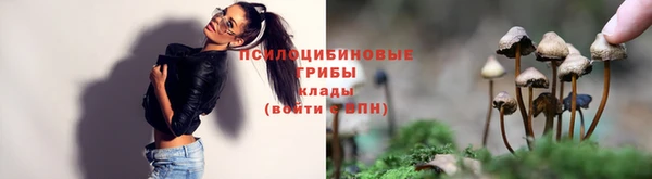 мдпв Богданович