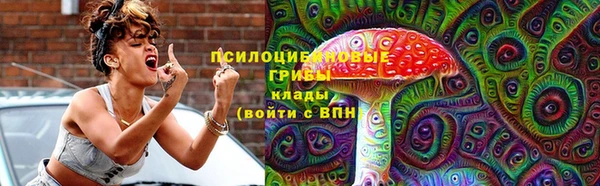 мдпв Богданович
