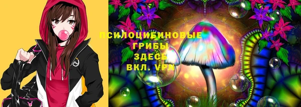 мдпв Богданович