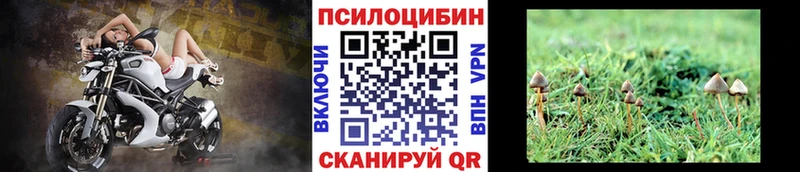 Галлюциногенные грибы ЛСД  Химки 